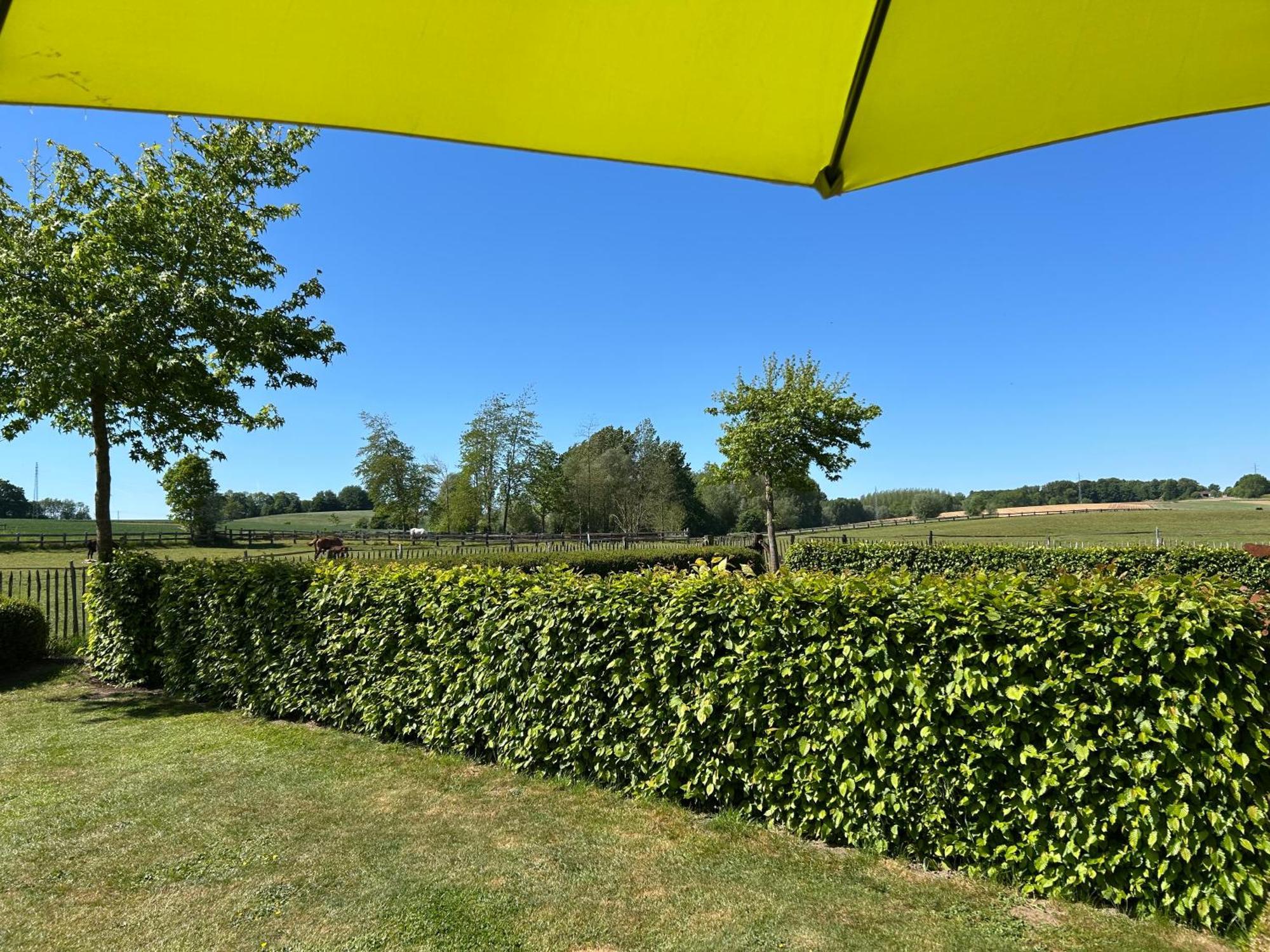 Villa Au Coeur des Collines, Gloriette à Ellezelles Extérieur photo